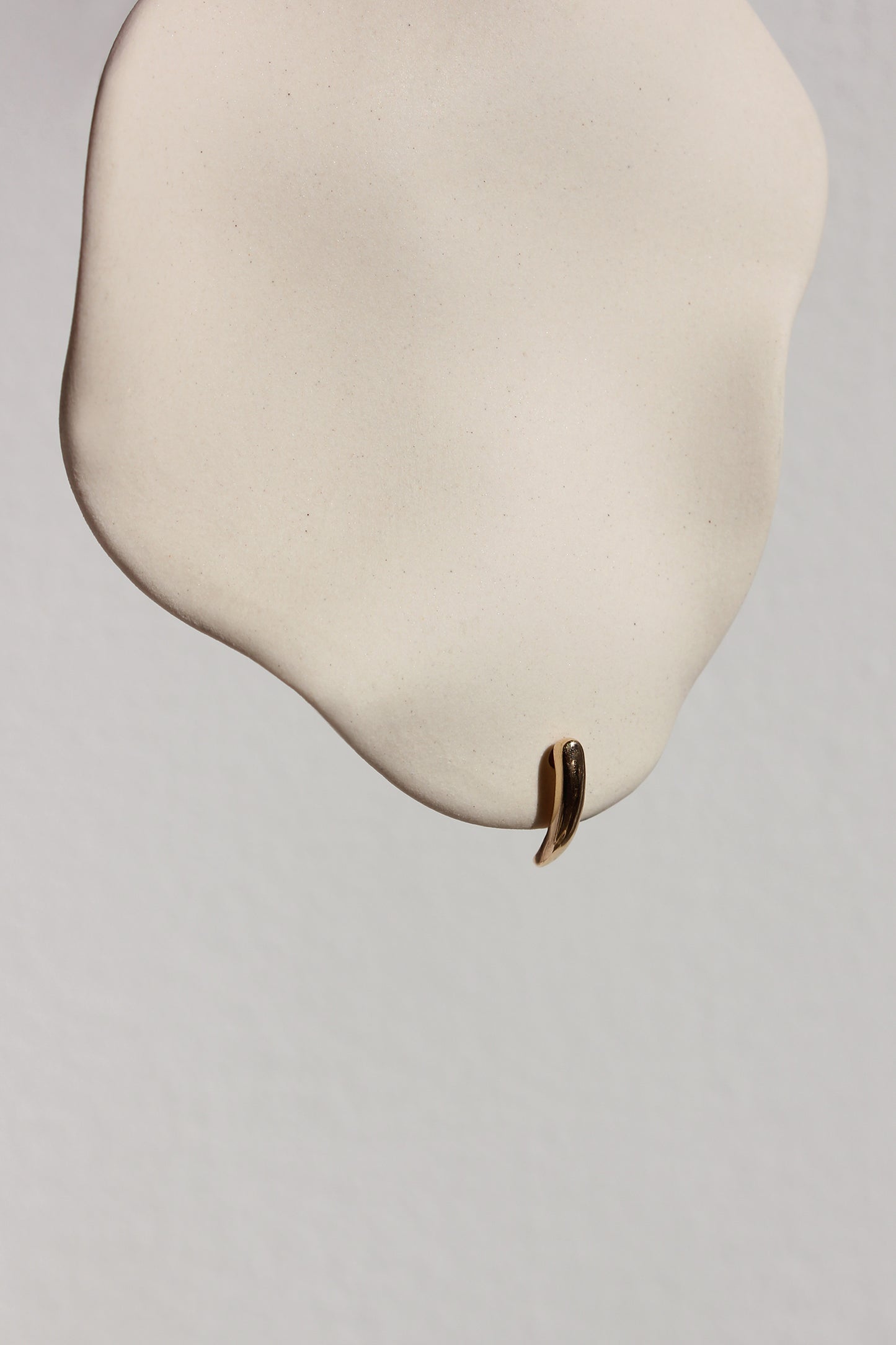 Torc Earrings