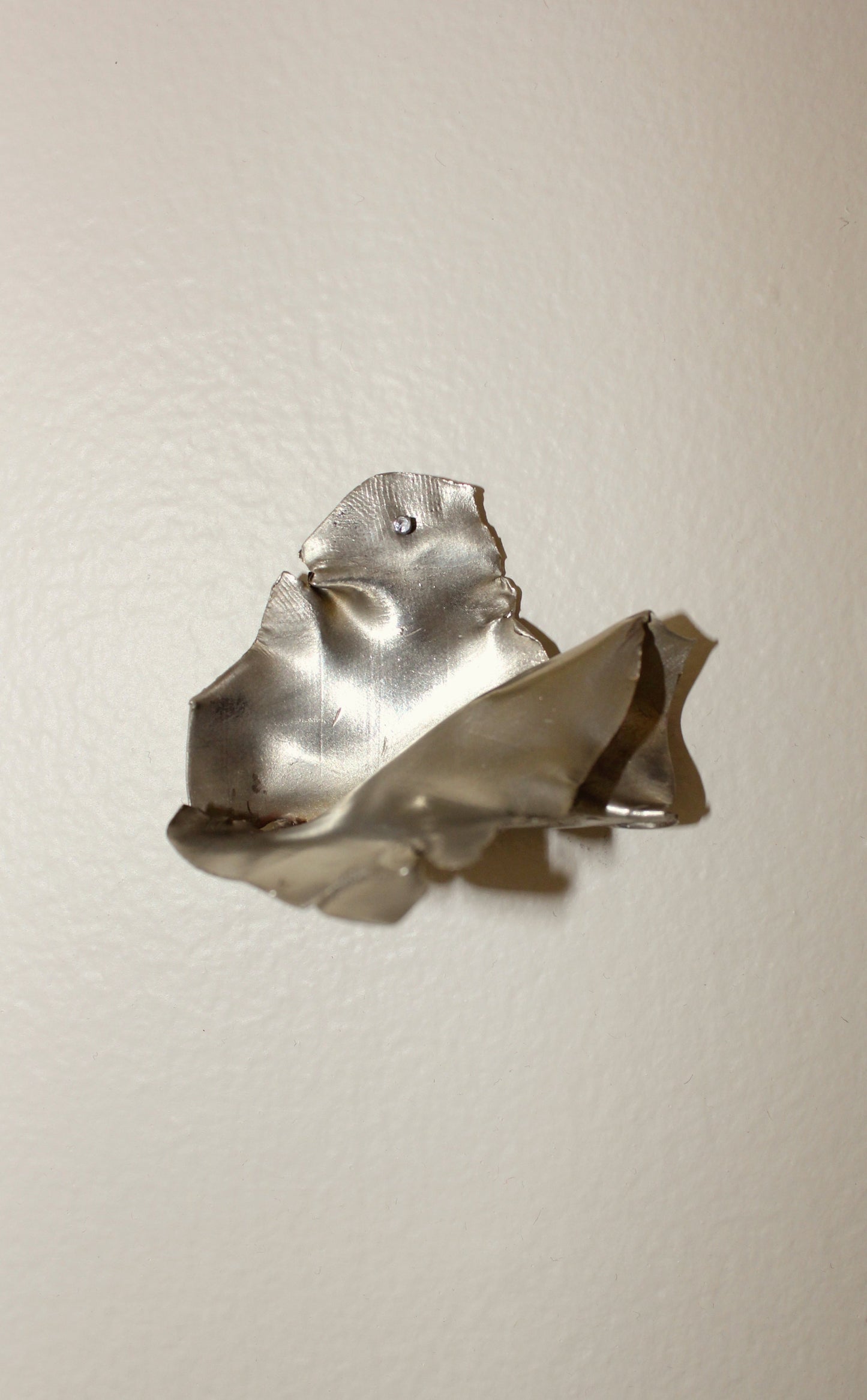 Organic sculpted wall mounted picture holder.
