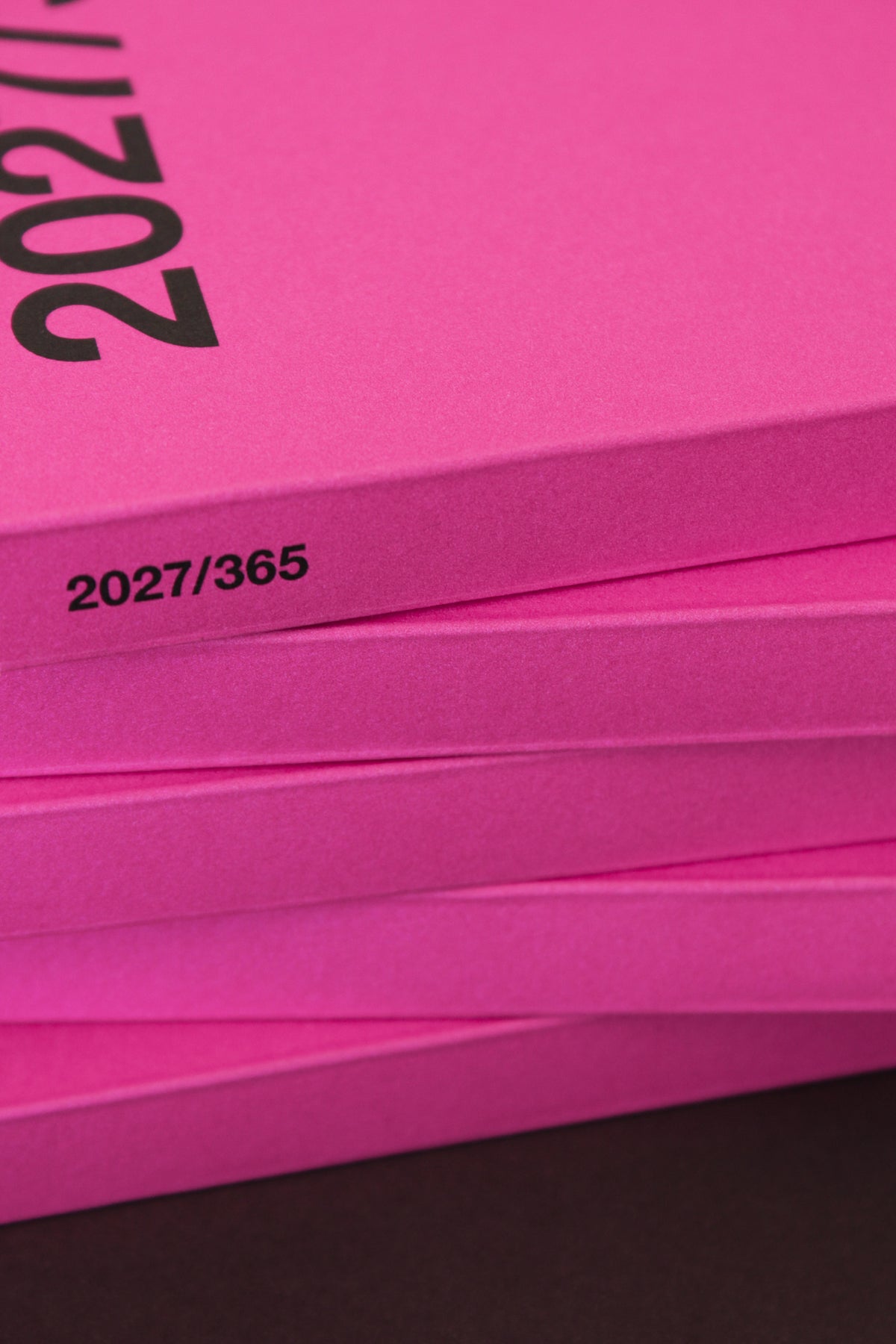 Planner 2027 | No. 807 - Rosa Choque