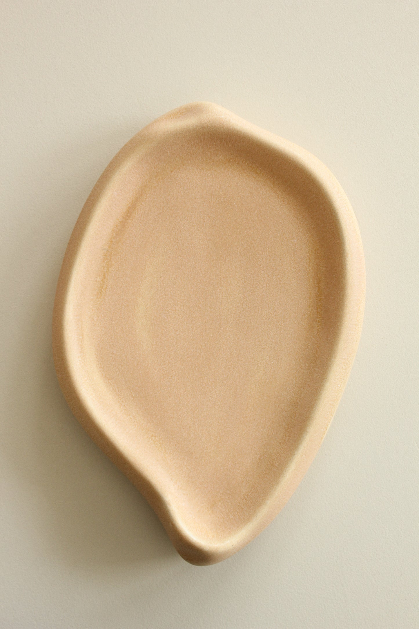 Jewellery Coquille | Lidded Storage Vessel