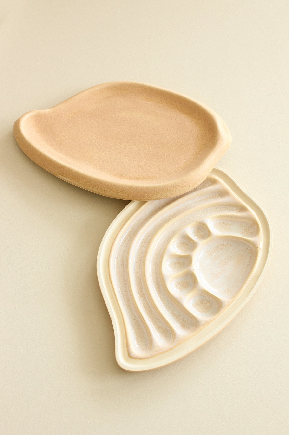 Jewellery Coquille | Lidded Storage Vessel