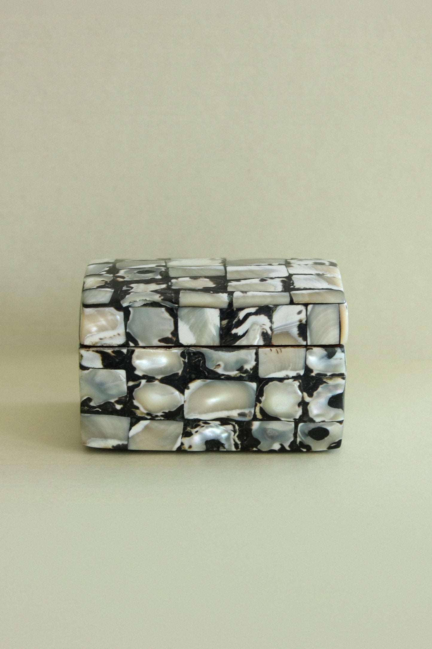 Mother of Pearl Treasure Box