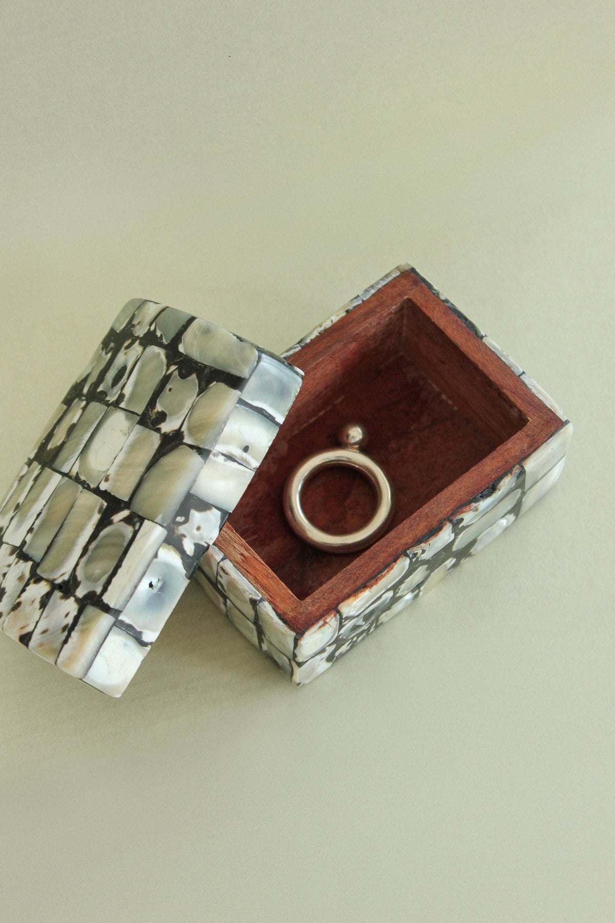 Mother of Pearl Treasure Box
