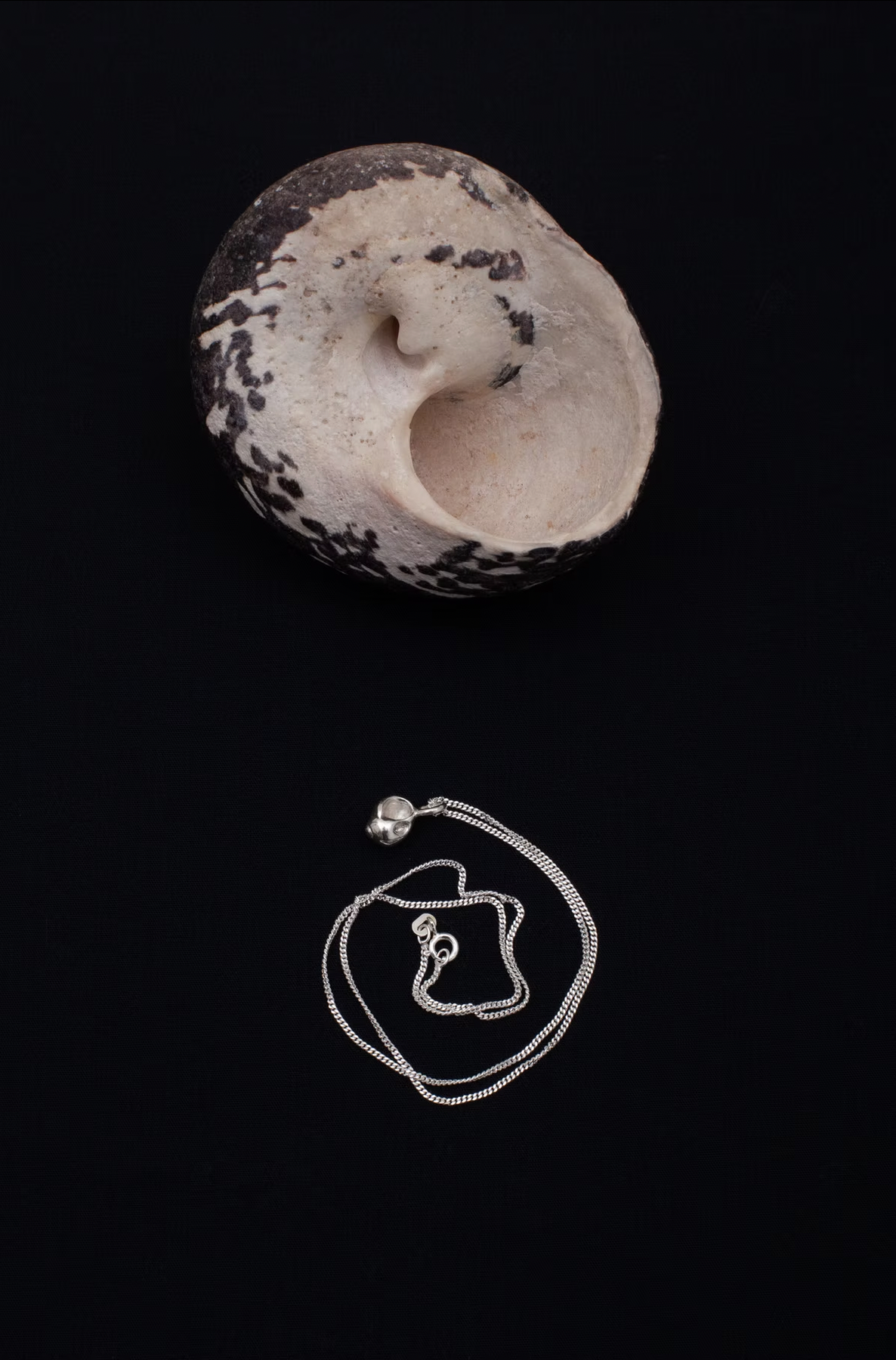 Diamond Cut Curb Chain